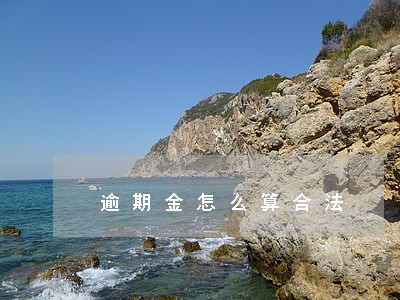 逾期金怎么算合法 逾期金怎么算合法