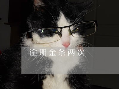 逾期金条两次 逾期金条两次