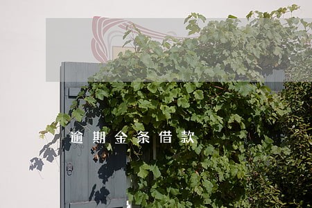 逾期金条借款 逾期金条借款