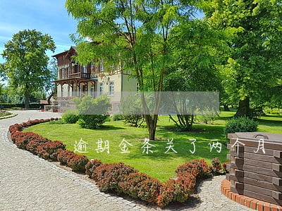 逾期金条关了两个月