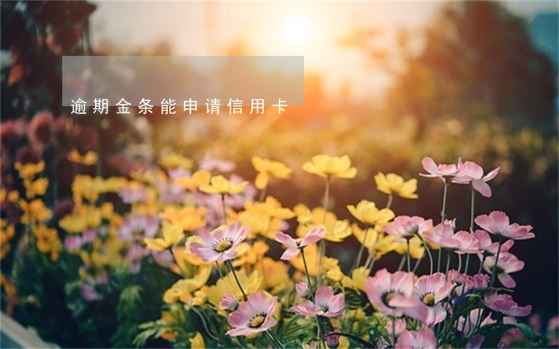 逾期金条能申请信用卡