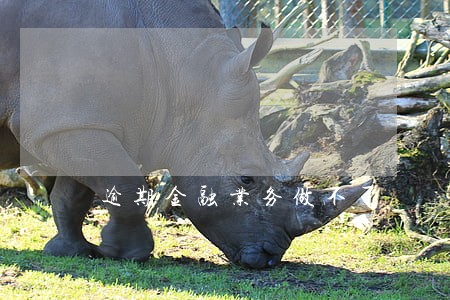 逾期金融业务做不了 逾期金融业务做不了