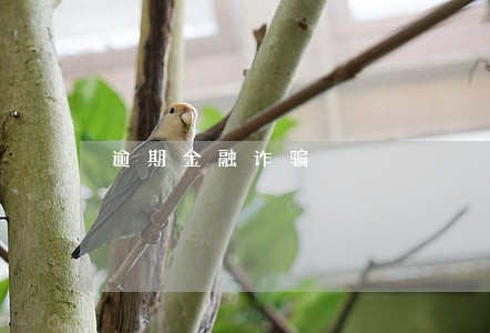 逾期金融诈骗 逾期金融诈骗