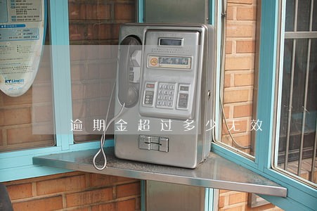 逾期金超过多少无效 逾期金超过多少无效