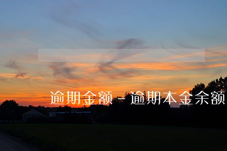 逾期金额-逾期本金余额
