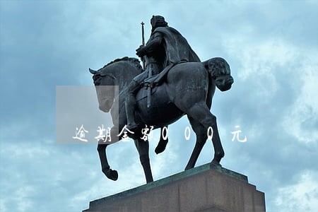 逾期金额000元 逾期金额000元