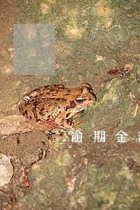 逾期金额0算不算逾期 逾期金额0算不算逾期