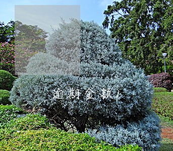 逾期金额1 逾期金额1