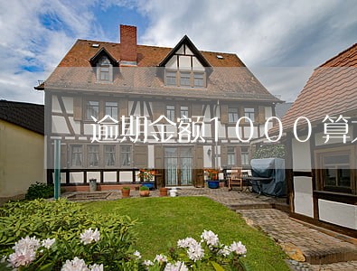 逾期金额1000算大吗 逾期金额1000算大吗