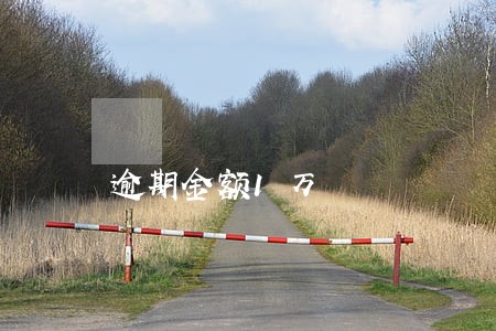 逾期金额1万 逾期金额1万
