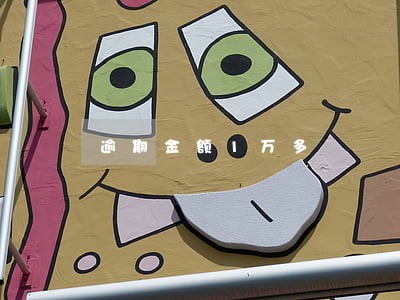 逾期金额1万多 逾期金额1万多