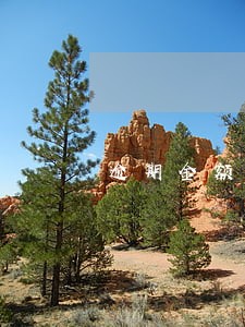 逾期金额1千 逾期金额1千
