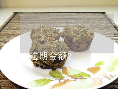 逾期金额2 逾期金额2