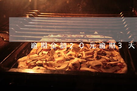 逾期金额20元逾期3天 逾期金额20元逾期3天