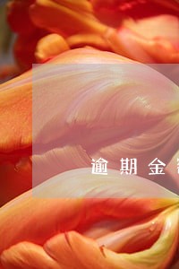 逾期金额22 逾期金额22