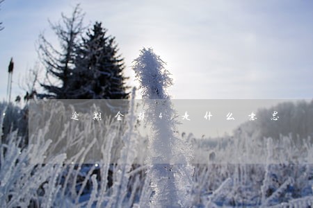 逾期金额4是什么意思 逾期金额4是什么意思