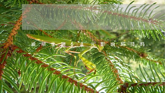 逾期金额68元影响房贷吗 逾期金额68元影响房贷吗