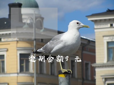 逾期金额9元