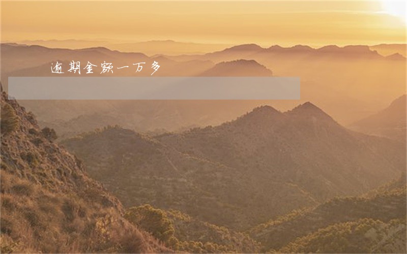 逾期金额一万多 逾期金额一万多