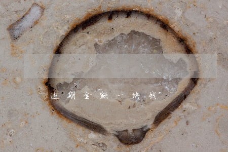 逾期金额一块钱 逾期金额一块钱