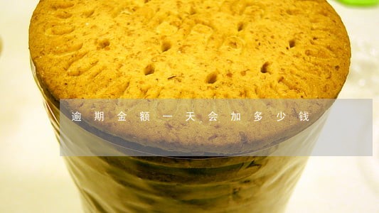 逾期金额一天会加多少钱