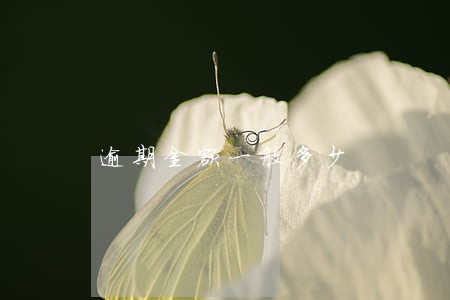 逾期金额一般多少 逾期金额一般多少