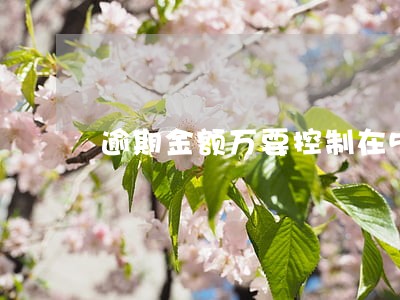 逾期金额万要控制在5万以内 逾期金额万要控制在5万以内