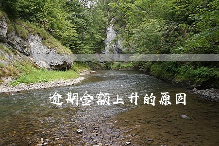 逾期金额上升的原因 逾期金额上升的原因