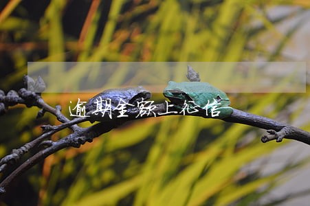 逾期金额上征信