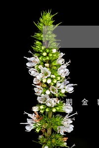 逾期金额不多会被冻结所有财产吗 逾期金额不多会被冻结所有财产吗