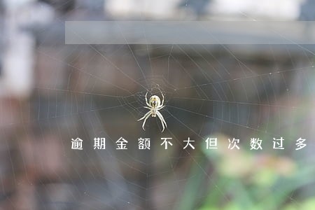 逾期金额不大但次数过多
