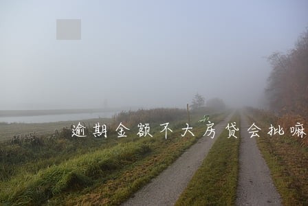 逾期金额不大房贷会批嘛