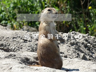 逾期金额不足10 逾期金额不足10