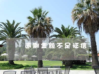 逾期金额不足征信 逾期金额不足征信