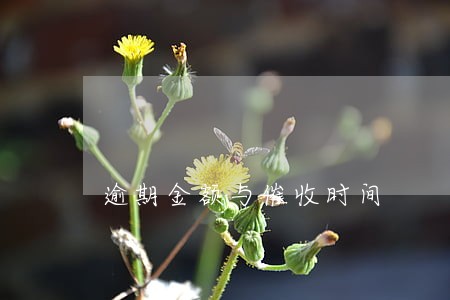 逾期金额与催收时间 逾期金额与催收时间