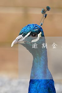 逾期金额与应收账款 逾期金额与应收账款
