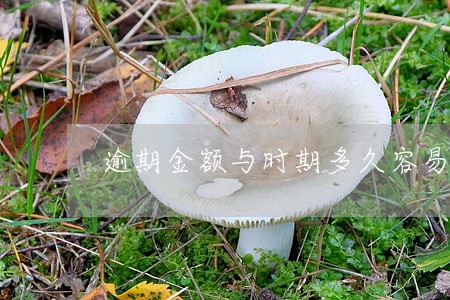 逾期金额与时期多久容易催收 逾期金额与时期多久容易催收