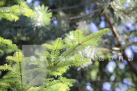 逾期金额两元对贷款有影响吗 逾期金额两元对贷款有影响吗