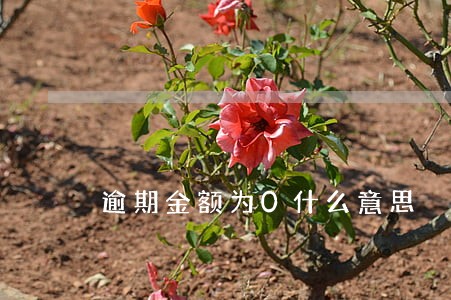 逾期金额为0什么意思 逾期金额为0什么意思