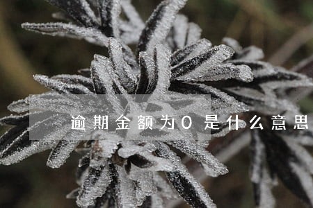 逾期金额为0是什么意思 逾期金额为0是什么意思