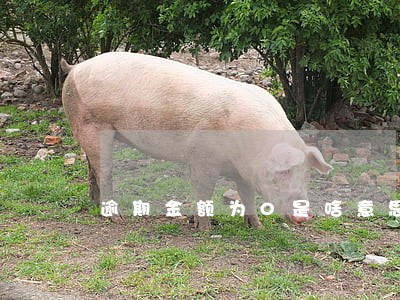 逾期金额为0是啥意思 逾期金额为0是啥意思