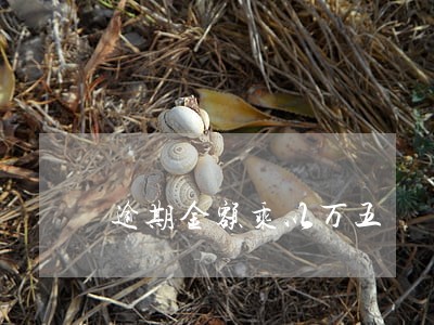逾期金额乘以万五 逾期金额乘以万五