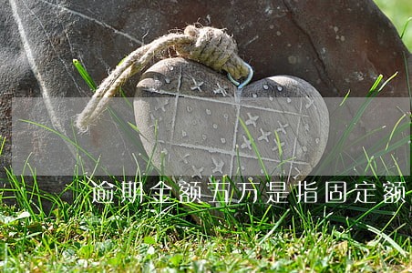 逾期金额五万是指固定额度吗 逾期金额五万是指固定额度吗