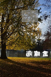逾期金额会不会利滚利 逾期金额会不会利滚利