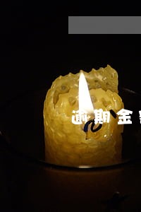 逾期金额但没罚息是何意思 逾期金额但没罚息是何意思