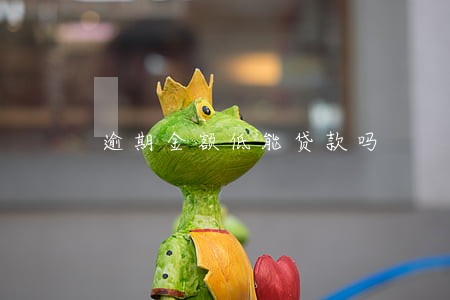 逾期金额低能贷款吗