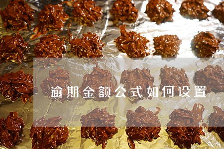 逾期金额公式如何设置 逾期金额公式如何设置
