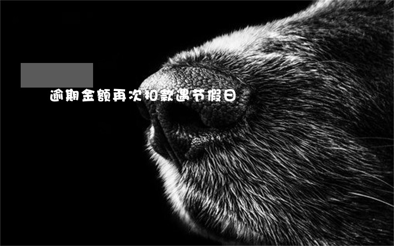 逾期金额再次扣款遇节假日 逾期金额再次扣款遇节假日