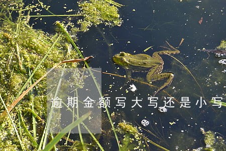 逾期金额写大写还是小写 逾期金额写大写还是小写