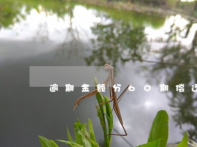 逾期金额分60期偿还 逾期金额分60期偿还